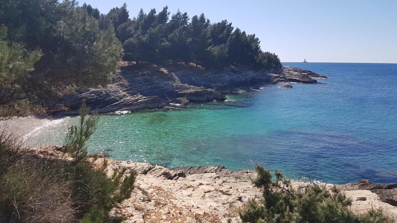 Apartman Luka Banjole Εξωτερικό φωτογραφία