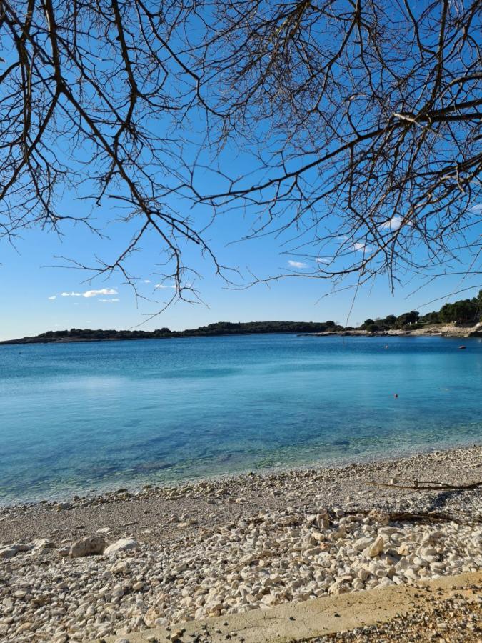 Apartman Luka Banjole Εξωτερικό φωτογραφία